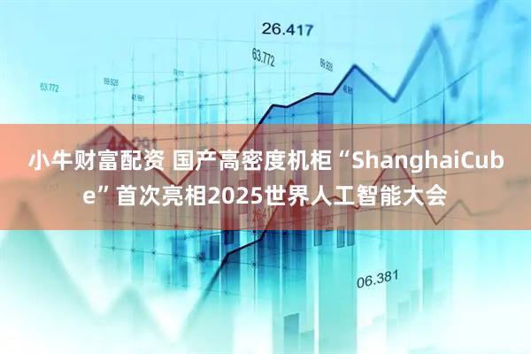 小牛财富配资 国产高密度机柜“ShanghaiCube”首次亮相2025世界人工智能大会
