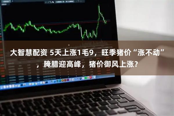 大智慧配资 5天上涨1毛9,旺季猪价“涨不动”,腌腊迎高峰,猪价御风上涨?